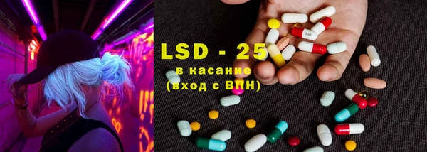 ГАЛЛЮЦИНОГЕННЫЕ ГРИБЫ Алзамай