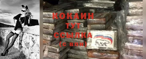 прущий лед Алексин