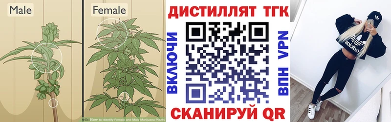 Дистиллят ТГК THC oil  даркнет сайт  Тында 