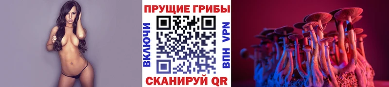 Псилоцибиновые грибы мицелий  блэк спрут ссылка  Тында 