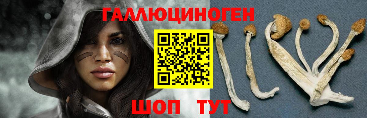Тында  Псилоцибиновые грибы MAGIC MUSHROOMS  Вход с VPN  даркнет сайт  Псилоцибиновые грибы Psilocybe 